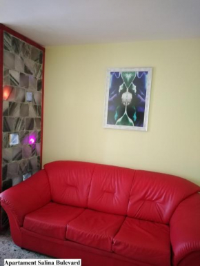 Apartament Salina Bulevard